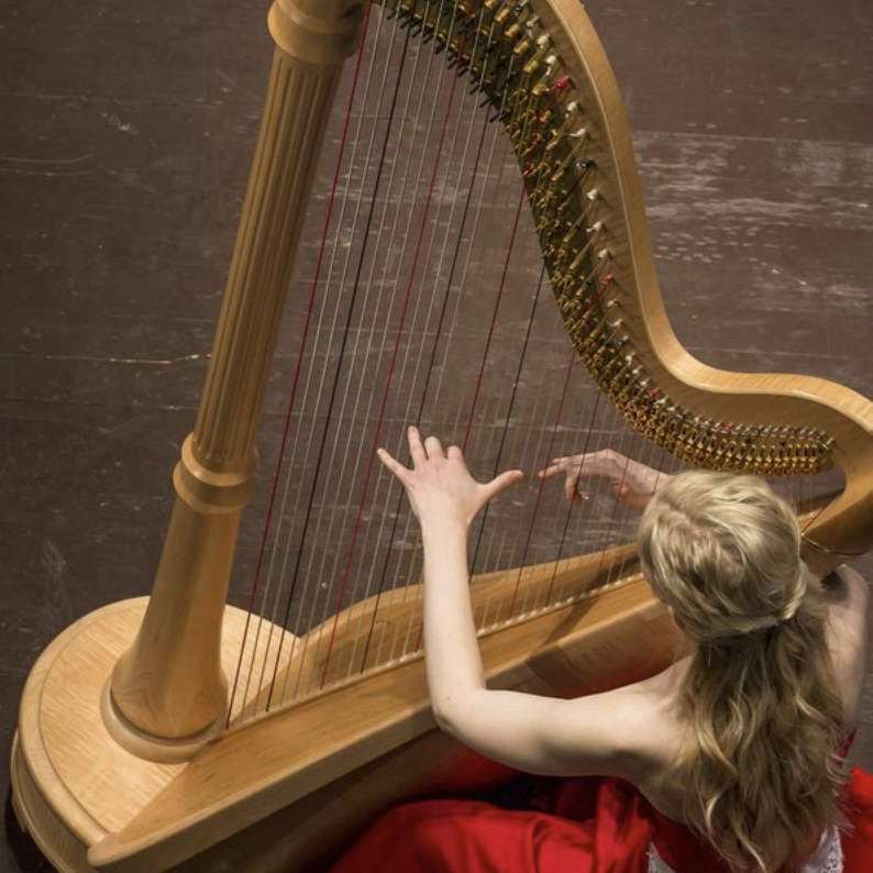strumenti-musicali interna2