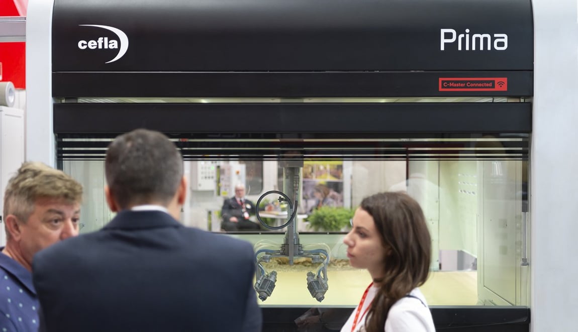 What does profilewrapping mean?